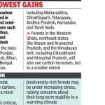 2100 पर्यंत फॉरेस्ट कार्बन 97% पर्यंत वाढेल, मुख्य इकोसिस्टम कमकुवत होऊ शकतात: अभ्यास