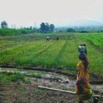 पुरंदर विमानतळ रस्ता जोडणीसाठी निधी गेल्या वर्षीच्या अर्थसंकल्पात मंजूर : PMRDA