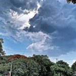 तापमान वाढल्याने डॉक्सना डोळा, किडनी आणि आतड्यांच्या आजारांमध्ये वाढ होत असल्याचे दिसते पुणे बातम्या