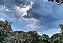 तापमान वाढल्याने डॉक्सना डोळा, किडनी आणि आतड्यांच्या आजारांमध्ये वाढ होत असल्याचे दिसते पुणे बातम्या